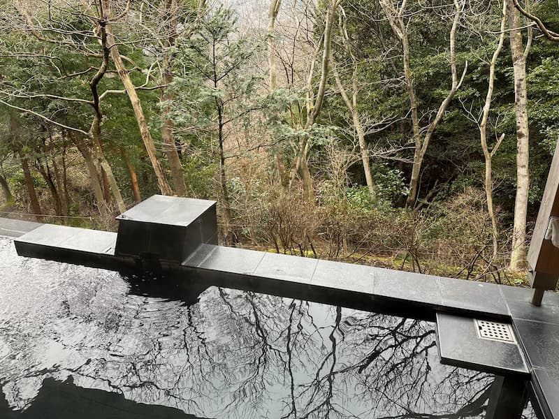 outside onsen communal bath with view over the surrounding forest in a ryokan in the Japanese countryside