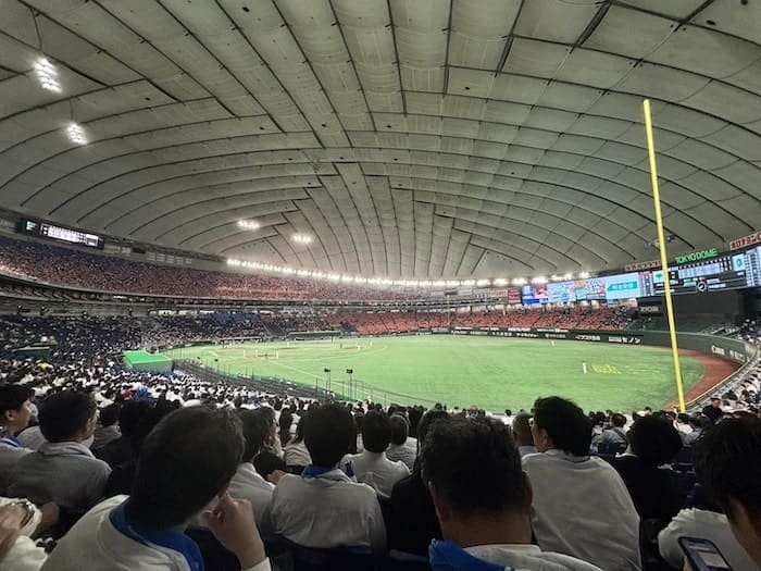 Attending a baseball game in Japan