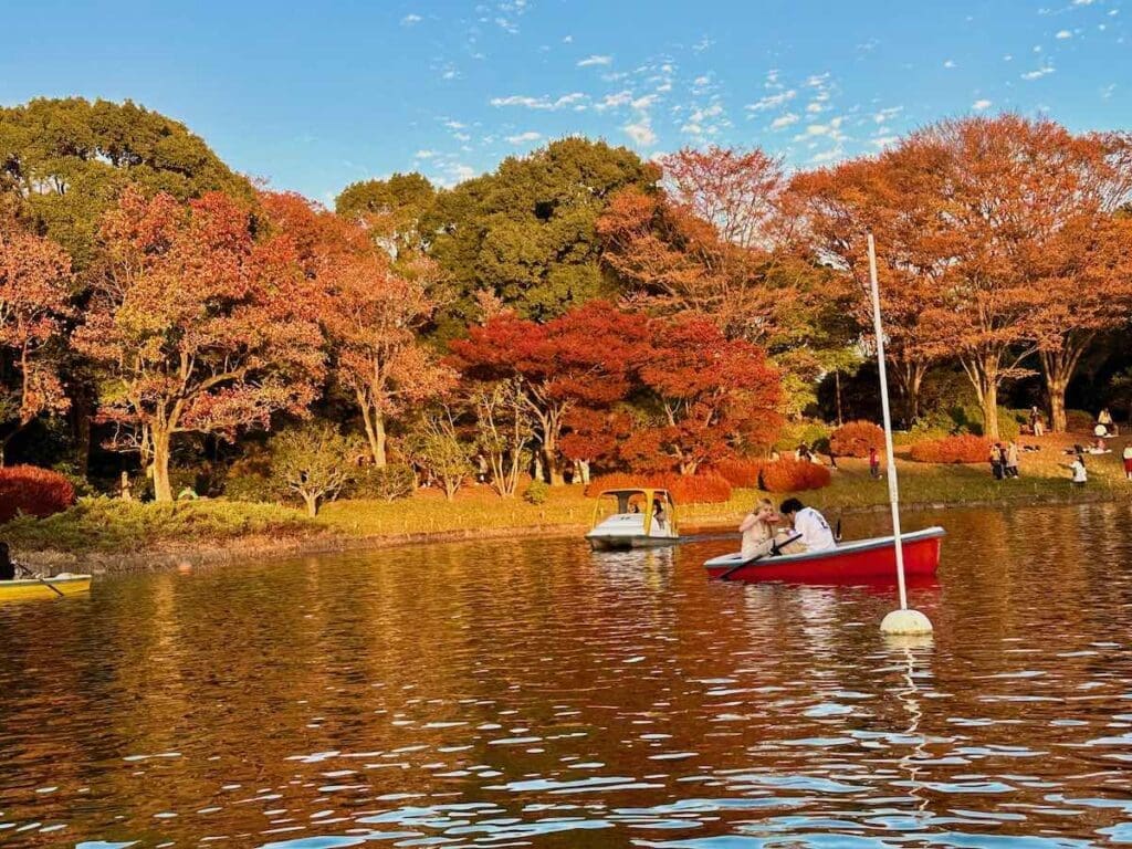 View of the autumn leaves (momiji or koyo) in Japan from a lake
