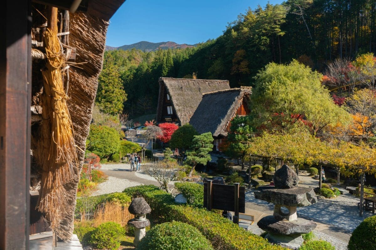 Gassho-zukuri thatched houses in Gero Onsen Gassho Village garden with autumn foliage