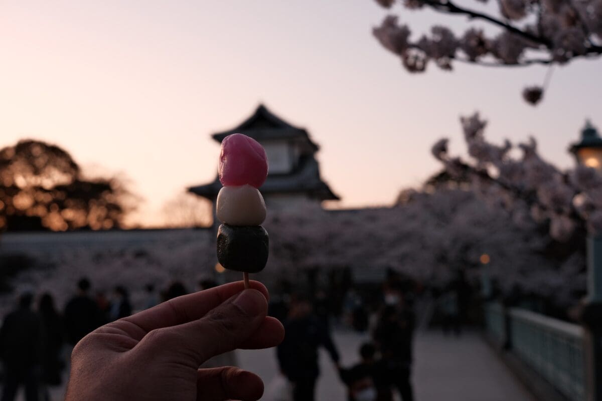 Three-colored dango skewer held before Ishikawa Gate of Kanazawa Castle with cherry blossoms at sunset