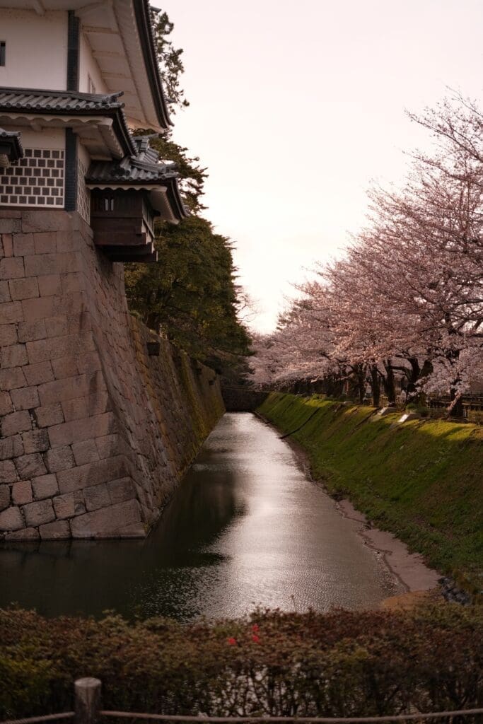 Stone-walled moat of Kanazawa Castle with cherry blossoms
