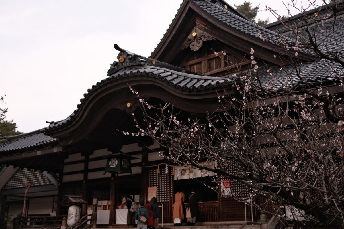 Entrance of Oyama Jinja Shrine in Kanazawa with curved roof and blossoming plum branches