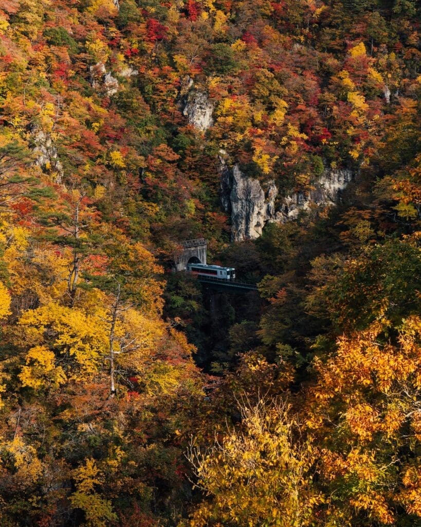Train exiting a tunnel in Naruko Gorge, Osaki, Miyagi, surrounded by autumn foliage