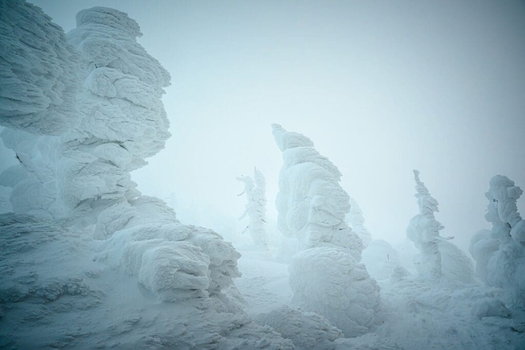 Ice-covered trees known as snow monsters at Zao Onsen, Mount Zao, Yamagata, Japan, in fog